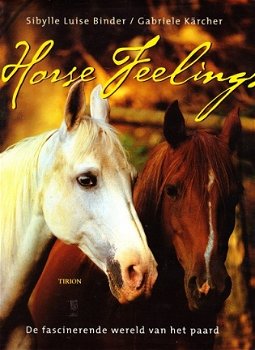 HORSE FEELINGS - Nederlandstalig - 1