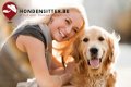 Thuis job als hondenoppas? Vacature hondensister werk - 1 - Thumbnail
