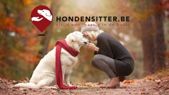 Hondenoppas - Hondensitter - Hondenopvang gezocht? - 1