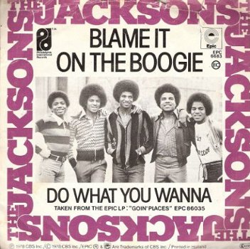 the Jacksons - Blame It on the Boogie - Do What You Wanna motown soul/R&B vinylsingle - 1