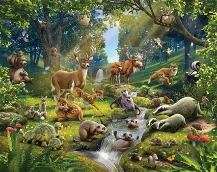 Bos dieren behang WT Bosdieren Bos dieren Fotobehang *Muurdeco4kids - 0