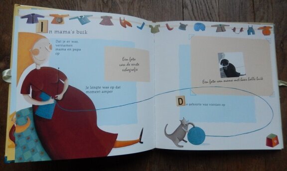 Mijn Babyboek - Emilie Chollat - Afbeelding 2