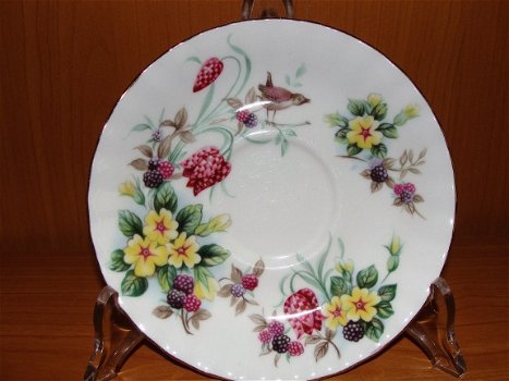 Royal Albert Dames Kop en Schotel Bloemen en Bramen - 3