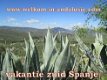 vakantiehuizen andalusie, spanje - 5 - Thumbnail