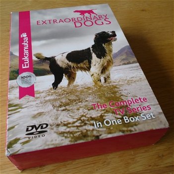Te koop de originele DVD-box 