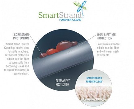 Tapijt SmartStrand Lazy in 14 kleuren duurzame vloerbedekking - 4