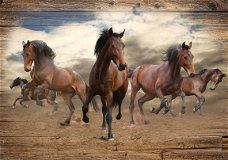 Wilde paarden fotobehang XL Paarden behang *Muurdeco4kids