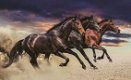 Wilde paarden fotobehang XL Paarden behang *Muurdeco4kids - 3 - Thumbnail
