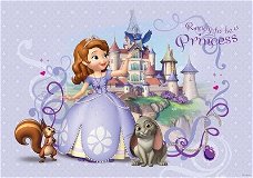 Sofia het prinsesje fotobehang kinderkamer * Muurdeco4kids