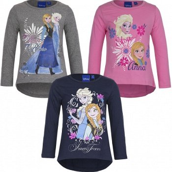 FROZEN !! Longsleeve maat 6 (110/116) - 2