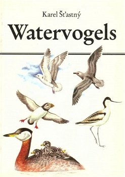 Watervogels - 1