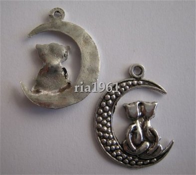 bedeltje/charm dieren : katten op de maan - 26x20 mm - 1