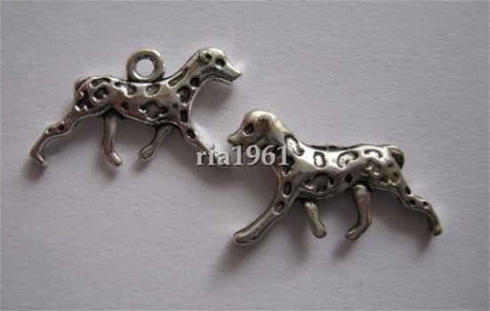 bedeltje/charm dieren : dalmatier - 22 x 15 mm - 1