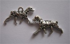bedeltje/charm dieren : dalmatier - 22 x 15 mm