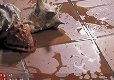 Terracotta tegels Vesuvius €33,99 - 1 - Thumbnail