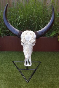 Gegraveerde buffelschedel, Buffel schedel bewerkt gegraveerd - 3