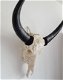 Gegraveerde buffelschedel, Buffel schedel bewerkt gegraveerd - 4 - Thumbnail
