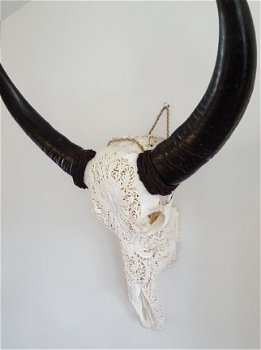 Gegraveerde buffelschedel, Buffel schedel bewerkt gegraveerd - 5