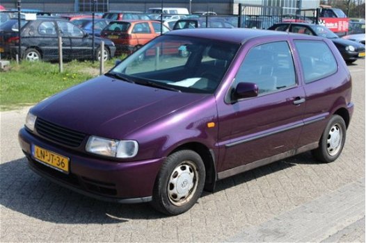 Volkswagen Polo - 1.6 Peter Mulder JR Emmer-Compascuum - 1