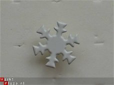 10 snowflake brad 1
