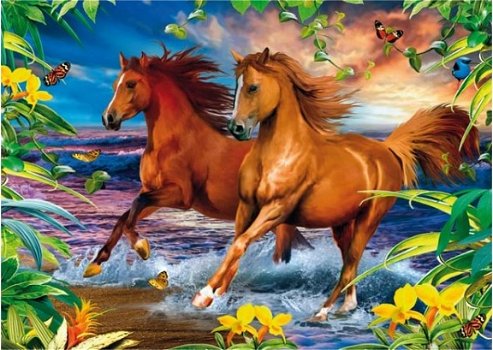 Clementoni - Horses in the Surf - 1000 Stukjes Nieuw - 1