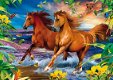Clementoni - Horses in the Surf - 1000 Stukjes Nieuw - 1 - Thumbnail