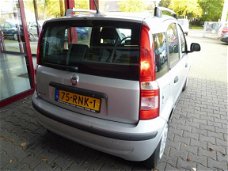 Fiat Panda - 1.2 Edizione Cool