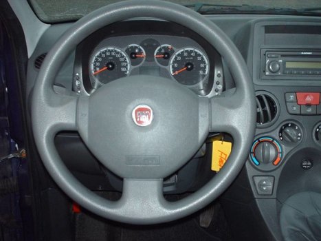 Fiat Panda - 1.2 69 Edizione Cool - 1