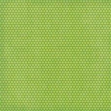 SALE NIEUW vel scrappapier Lemon Flower 3 Green Dots van DCWV