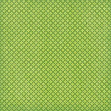 SALE NIEUW vel scrappapier Lemon Flower 10 Green Squares van DCWV