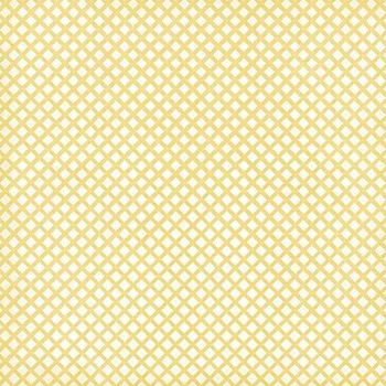 SALE NIEUW vel scrappapier Lemon Flower 21 Peach Squares van DCWV - 1