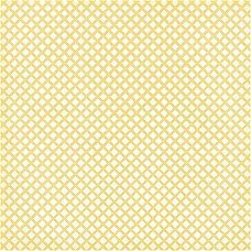 SALE NIEUW vel scrappapier Lemon Flower 21 Peach Squares van DCWV