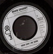 David Cassidy - How Can I Be Sure- Ricky's Tune -vinylsingle
