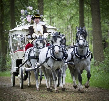 prinsessenkoets huren voor communie of trouwerij - 2