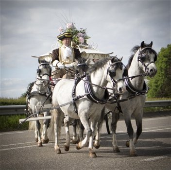 prinsessenkoets huren voor communie of trouwerij - 7