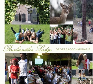 KAMPLOCATIE VOOR GROEP VAN DE KERK, BRABANT, SOMEREN, LIEROP. - 3