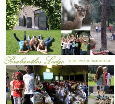 Grote Groepsaccommodatie voor zomerkamp, kindervakantiekamp in Brabant, de Kempen. - 3