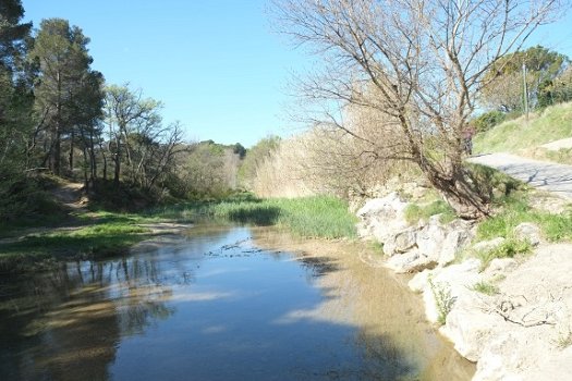 Naturisme, Provence, Mont Ventoux, Bélézy - 6