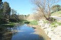 Naturisme, Provence, Mont Ventoux, Bélézy - 6 - Thumbnail