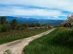 Naturisme, Provence, Mont Ventoux, Bélézy - 7 - Thumbnail