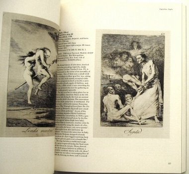 Goya and the Spirit of Enlightenment - Sanches Perez & Sayre - 2