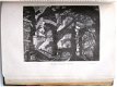 L'Art Moderne 1924 Faure - Kunstgeschiedenis Vlaanderen NL - 6 - Thumbnail