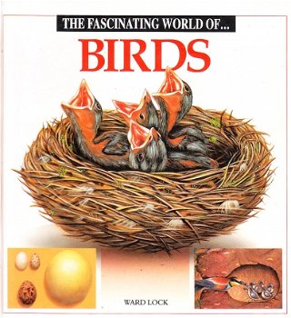 the fascinating world of birds by Ward Lock - 1