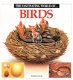 the fascinating world of birds by Ward Lock - 1 - Thumbnail