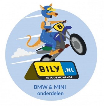 Sloperij BILY BMW E46 318i, specialist in demonteren - 7