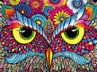 Buffalo Games - Owl Eyes - 1000 Stukjes Nieuw - 1 - Thumbnail