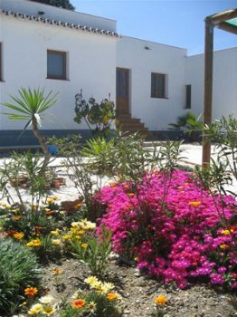 vakantiehuis andalusie kindvriendelijk malaga korting in juni ! - 1