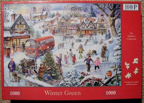 House of Puzzles - Winter Green - 1000 Stukjes Nieuw - 2