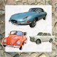 kaart solocars_02 - 1 - Thumbnail