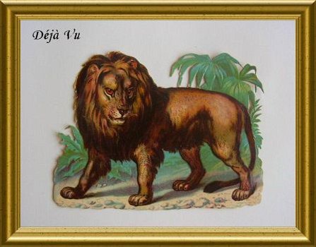Groot antiek poezieplaatje : leeuw - 1